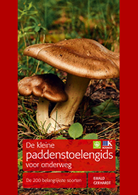 De kleine paddenstoelengids voor onderweg